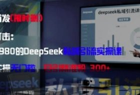 精准打击：价值3980的DeepSeek私域引流实操课，小白实操无门槛，日引精准粉300+