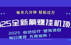 （14608期）2025z最新自动运行躺赚项目 一个月轻松上万