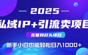 （14614期）私域IP+卖项目，普通人小白也能轻松实现日入1000+