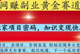 网创副业黄全赛道，掌握独家项目密码，知识变现快人一步，告别韭菜轻松实现单日变现1k+【揭秘】