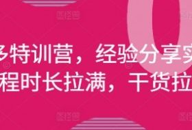 拼多多特训营，经验分享实操，课程时长拉满，干货拉满(更新25年4月)