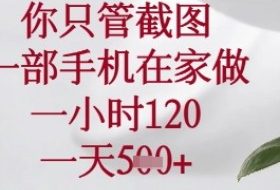 你只管截图，一部手机在家可以做，一小时120.一天5张+【揭秘】