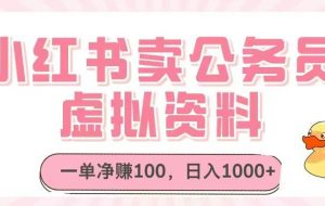（14627期）小红书卖公务员虚拟资料，一单净赚100，日入1000+