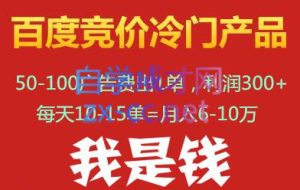 我是钱百度竞价冷门产品项目（更新4月）