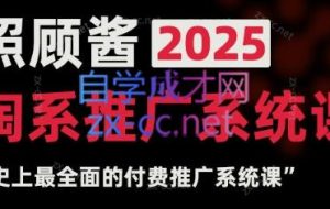 照顾酱·2025淘系推广系统课