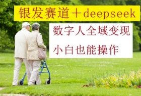 银发赛道+deepseek数字人全域变现，小白也能操作
