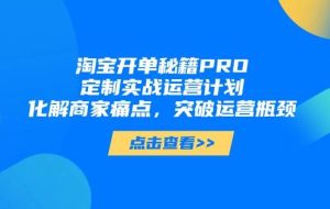 （14642期）淘宝开单秘籍PRO，定制实战运营计划，化解商家痛点，突破运营瓶颈