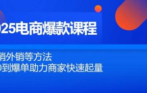 （14644期）2025电商爆款课程，内销外销等方法，从0到爆单助力商家快速起量