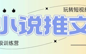 （14645期）2025小说推文训练营，只需复制，粘贴，小白轻松日入100+