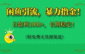 （14647期）闲鱼引流，暴力撸金，日盈利1000+，长期稳定！（附免费无货源渠道）