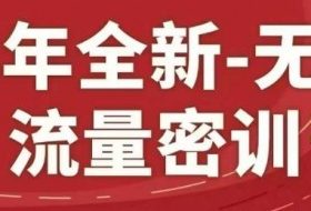 25年全新无界流量密训23.0，淘系精品系列课
