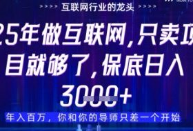什么！25年你还在找项目做？风口早就变了，卖项目才是稳挣不赔【揭秘】