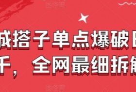 同城搭子单点爆破日入千，全网最细拆解
