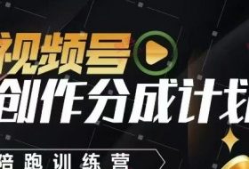 视频号创作分成计划陪跑训练营，手把手教会你如何制作视频，细水长流型项目