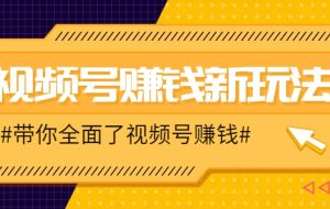 视频号短视频带货新玩法，用这个方法，一天佣金4407（附详细教程）