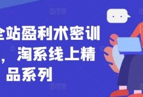 无界全站盈利术密训22.0，淘系线上精品系列