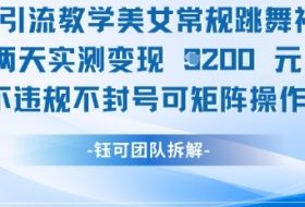 男粉引流教学美女常规跳舞视频两天实测变现1k+，不违规不封号可矩阵操作