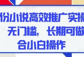 五月份小说高效推广实操，0成本，无门槛，长期可做，适合小白操作