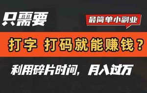 （14673期）只需要打字，打码，就能赚钱？简单的赚钱小副业，利用碎片时间，月入过万