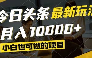 （14675期）今日头条最新风口,视频掘金,小白也可月入过万,可以矩阵操作