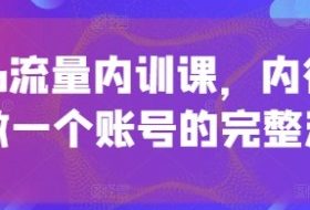 个人ip流量内训课，内行人教你做一个账号的完整流程