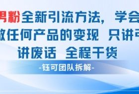 小红书男粉引流 学会了这个变现很容易，不讲废话全程针对男人的打法 全程干货