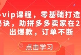 拼多多vip课程，零基础打造店铺的核心秘诀，助拼多多卖家在2025卖出爆款，订单不断