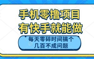 （14687期）手机零撸项目，有快手就可以做，每天零碎时间搞个几百块不成问题