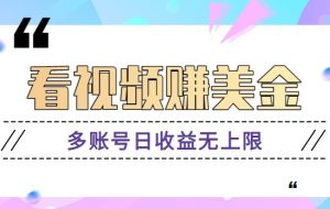 看视频赚美金项目，手机可自动运行操作，多账号日收益无上限
