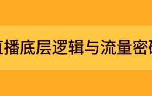 直播底层逻辑与流量密码：定位模型+案例拆解，急速流承接与数据优化全攻略