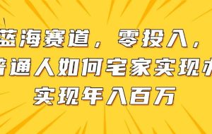 （14700期）新蓝海赛道，零投入，一个普通人如何宅家办公实现年入百万