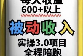 被动收入实操3.0项目，每天收益6张+以上，能长期操作