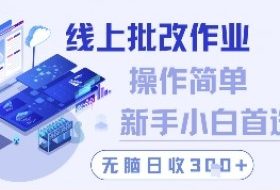 线上批改作业，操作简单新手小白首选，无脑日收300+【揭秘】