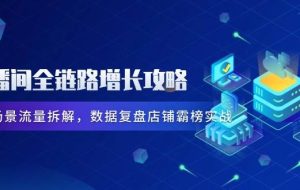 （14721期）直播间全链路增长攻略，爆品场景流量拆解，数据复盘店铺霸榜实战