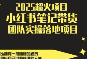 2025超火项目，副业最佳选择，小红书笔记带货团队实操落地项目，，轻松日入5张