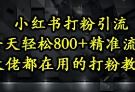 小红书打粉引流，一天轻松500+精准流量，大佬都在用的打粉教程