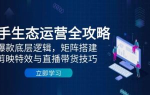 （14728期）快手生态运营全攻略：爆款底层逻辑，矩阵搭建，剪映特效与直播带货技巧