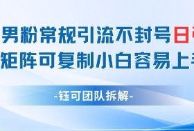 小红书男粉常规引流不封号日引99+变现简单 可矩阵可复制小白容易上手