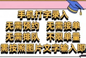 纯手机打字录入，不需要预约 、不需要接单、不需要排队 、项目不限量，零门槛，操作简单方便收入无上限【揭秘】