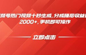 （14742期）视频号热门视频十秒生成，分成睡后收益日入2000+，手机即可操作