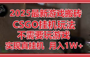 （14743期）2025最新游戏搬砖，CSGO自动运行，不需要玩游戏，实现真自动运行，月入1W+
