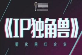 IP独角兽，孵化网红企业，ip教程