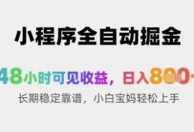 小程序全自动掘金，48小时可见收益，日入8张+长期稳定靠谱，小白宝妈轻松上手【揭秘】