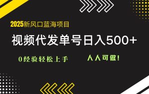 （14749期）2025视频代发蓝海项目：0经验轻松上手，单号日入500+，人人可做！