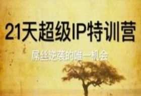 21天超级IP特训营，屌丝逆袭的唯一机会