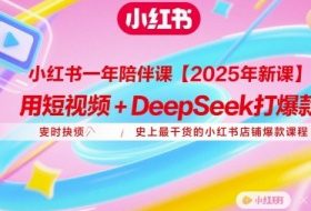 小红书一年陪伴课【2025年新课】，用短视频+deepSeek打爆款，史上最干货的小红书店铺爆款课程