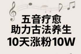 古法五音养生教程，五音疗愈的视频的制作方法，2-4小时就能学会，作者10天涨粉10W