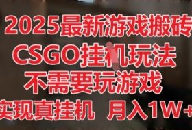 2025最新游戏搬砖，CSGO挂G，不需要玩游戏，实现真挂G，月入1W+【揭秘】