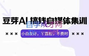 豆芽·AI搞钱自媒体训练营（更新5月）
