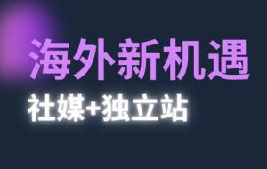 棕榈·2025出海新机遇（社媒+独立站）
